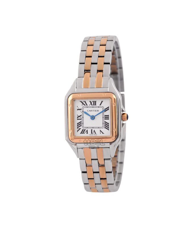 کارتیر CARTIER 39036WX SR